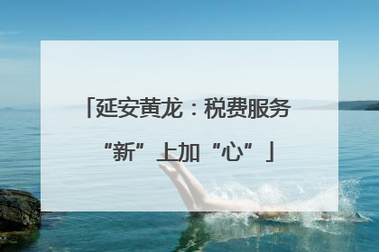 延安黄龙：税费服务“新”上加“心”