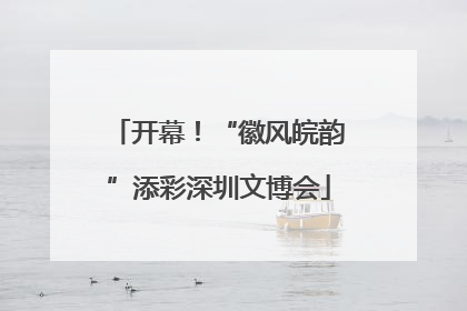 开幕！“徽风皖韵”添彩深圳文博会