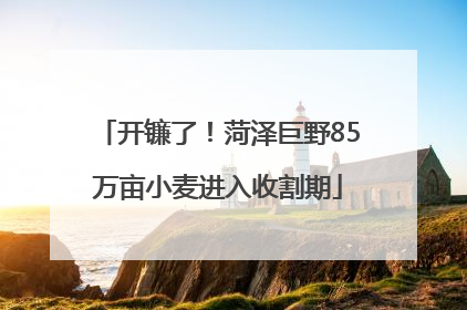 开镰了！菏泽巨野85万亩小麦进入收割期