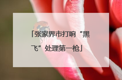 张家界市打响“黑飞”处理第一枪