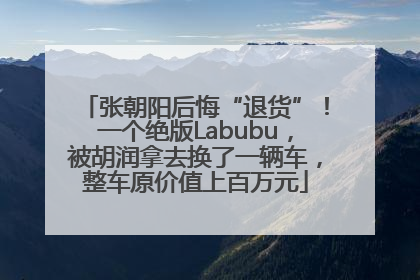 张朝阳后悔“退货”！一个绝版Labubu，被胡润拿去换了一辆车，整车原价值上百万元