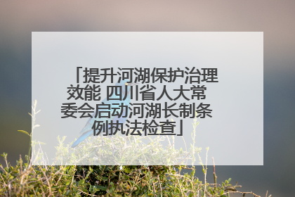 提升河湖保护治理效能 四川省人大常委会启动河湖长制条例执法检查
