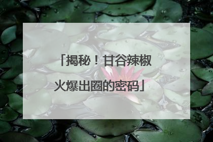 揭秘！甘谷辣椒火爆出圈的密码