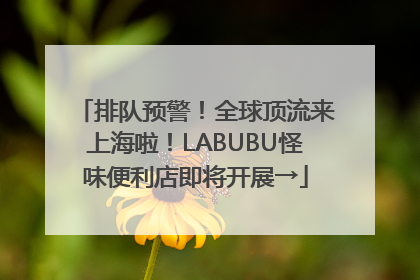 排队预警！全球顶流来上海啦！LABUBU怪味便利店即将开展→