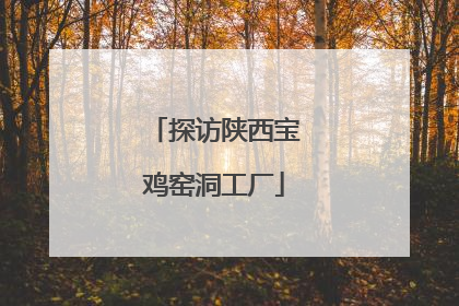 探访陕西宝鸡窑洞工厂