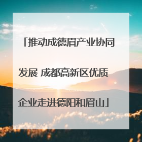 推动成德眉产业协同发展 成都高新区优质企业走进德阳和眉山