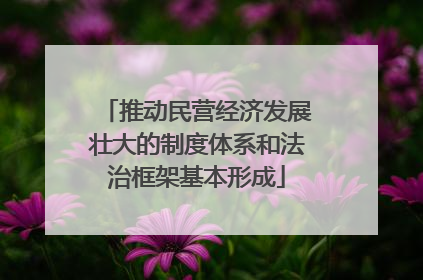 推动民营经济发展壮大的制度体系和法治框架基本形成
