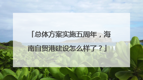 总体方案实施五周年，海南自贸港建设怎么样了？