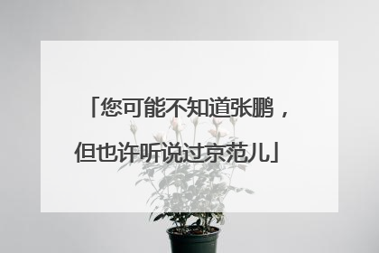 您可能不知道张鹏，但也许听说过京范儿