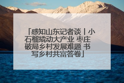 感知山东记者谈丨小石榴撬动大产业 枣庄破局乡村发展难题 书写乡村共富答卷