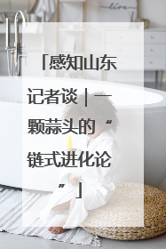 感知山东记者谈｜一颗蒜头的“链式进化论”