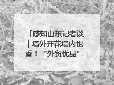 感知山东记者谈｜墙外开花墙内也香！“外贸优品”打通国内国际市场“旋转门”