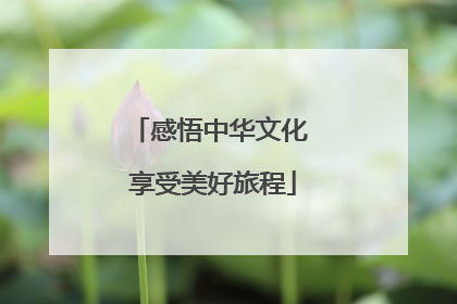 感悟中华文化 享受美好旅程