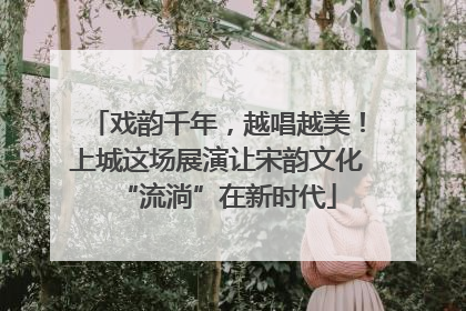 戏韵千年，越唱越美！上城这场展演让宋韵文化“流淌”在新时代