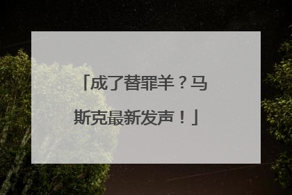 成了替罪羊？马斯克最新发声！