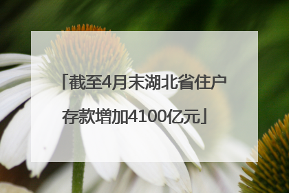 截至4月末湖北省住户存款增加4100亿元