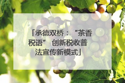 承德双桥：“茶香税语” 创新税收普法宣传新模式