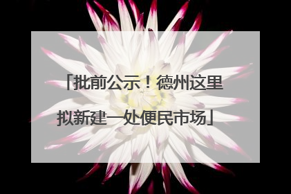 批前公示！德州这里拟新建一处便民市场
