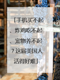 手机买不起、炸鸡吃不起、宠物养不起？这届美国人活得好难