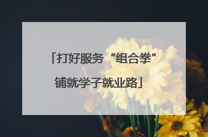 打好服务“组合拳” 铺就学子就业路