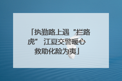 执勤路上遇“拦路虎” 江夏交警暖心救助化险为夷
