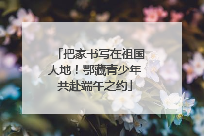 把家书写在祖国大地！鄂藏青少年共赴端午之约