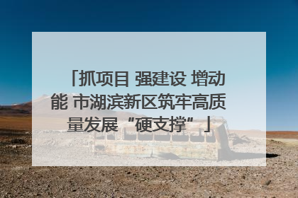 抓项目 强建设 增动能 市湖滨新区筑牢高质量发展“硬支撑”