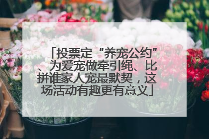 投票定“养宠公约”、为爱宠做牵引绳、比拼谁家人宠最默契，这场活动有趣更有意义