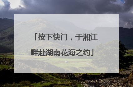 按下快门，于湘江畔赴湖南花海之约