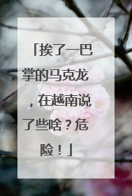 挨了一巴掌的马克龙，在越南说了些啥？危险！