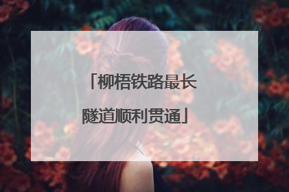 柳梧铁路最长隧道顺利贯通