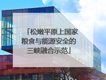 松嫩平原上国家粮食与能源安全的三峡融合示范