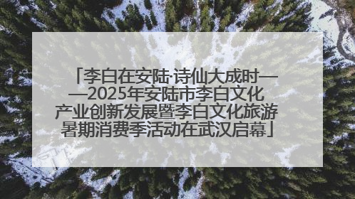 李白在安陆·诗仙大成时——2025年安陆市李白文化产业创新发展暨李白文化旅游暑期消费季活动在武汉启幕