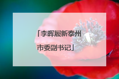 李晖履新泰州市委副书记