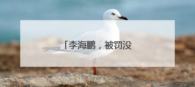 李海鹏，被罚没超426万元！
