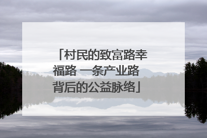 村民的致富路幸福路 一条产业路背后的公益脉络