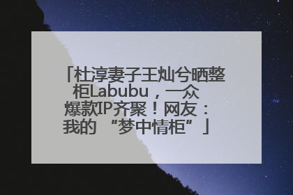 杜淳妻子王灿兮晒整柜Labubu，一众爆款IP齐聚！网友：我的 “梦中情柜”