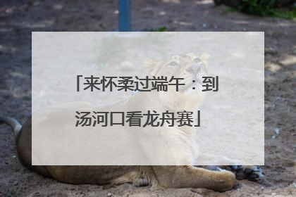 来怀柔过端午：到汤河口看龙舟赛