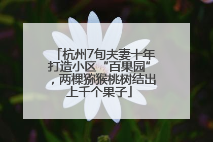 杭州7旬夫妻十年打造小区“百果园”，两棵猕猴桃树结出上千个果子
