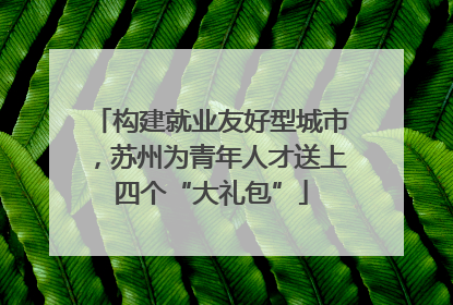 构建就业友好型城市，苏州为青年人才送上四个“大礼包”