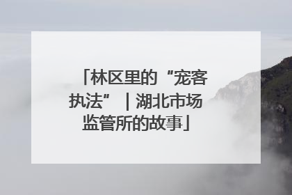 林区里的“宠客执法”｜湖北市场监管所的故事