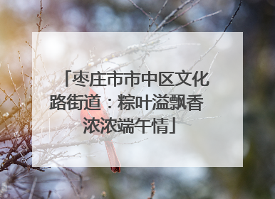 枣庄市市中区文化路街道：粽叶溢飘香 浓浓端午情