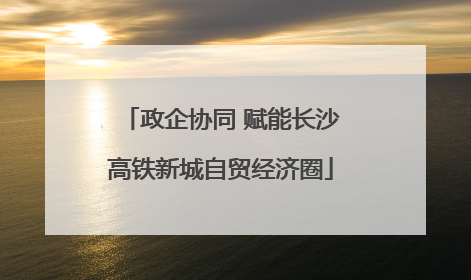 政企协同 赋能长沙高铁新城自贸经济圈