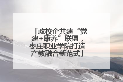 政校企共建“党建+康养”联盟，枣庄职业学院打造产教融合新范式