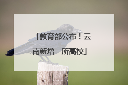教育部公布！云南新增一所高校
