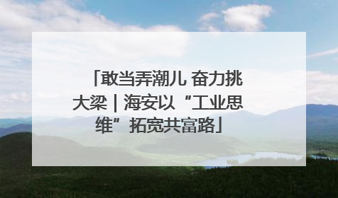 敢当弄潮儿 奋力挑大梁｜海安以“工业思维”拓宽共富路