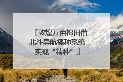 敦煌万亩棉田借北斗导航播种系统实现“精种”