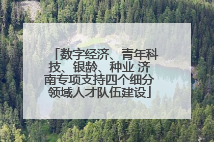 数字经济、青年科技、银龄、种业 济南专项支持四个细分领域人才队伍建设