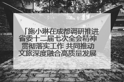 施小琳在成都调研推进省委十二届七次全会精神贯彻落实工作 共同推动文旅深度融合高质量发展 加快打造支柱产业民生产业幸福产业