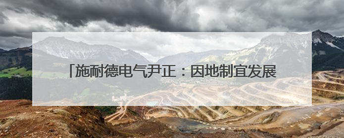 施耐德电气尹正：因地制宜发展新质生产力，场景应用非常关键